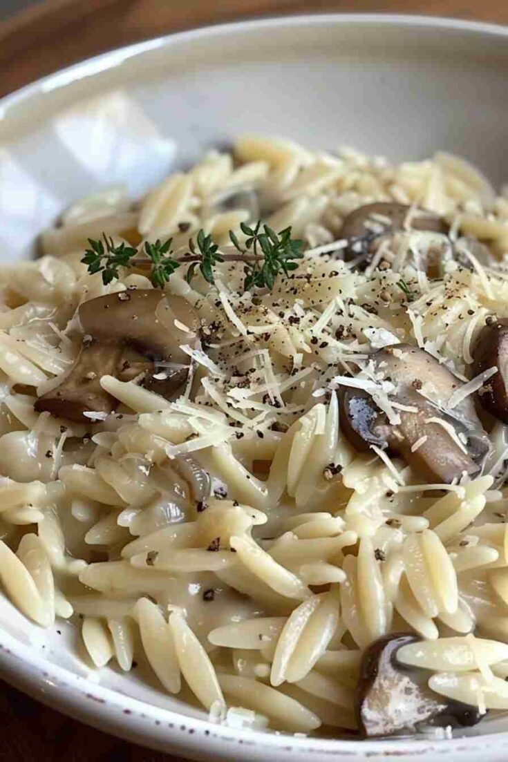 Parmesan Mushroom Orzo